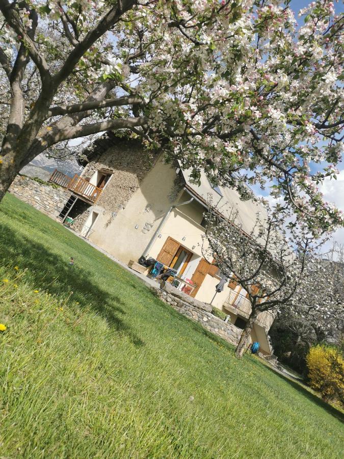 Chambres D'Hotes Les Peschiers Chateauroux-les-Alpes Buitenkant foto